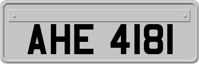 AHE4181