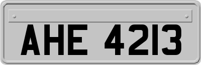 AHE4213