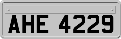 AHE4229