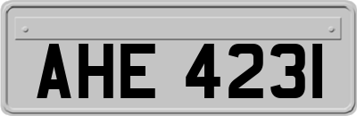 AHE4231