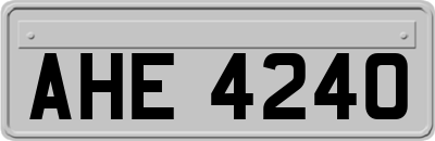 AHE4240