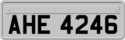 AHE4246