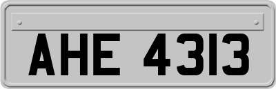 AHE4313