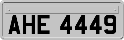 AHE4449