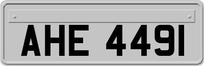 AHE4491