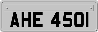 AHE4501