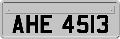 AHE4513