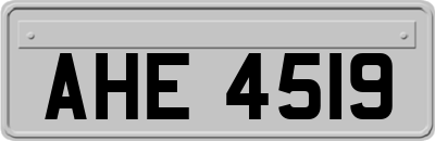 AHE4519