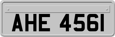 AHE4561
