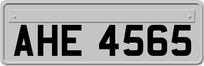AHE4565