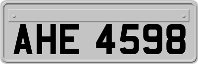 AHE4598