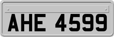 AHE4599