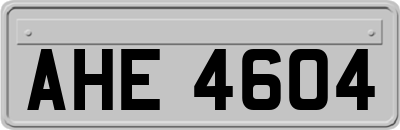 AHE4604