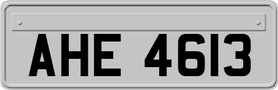AHE4613