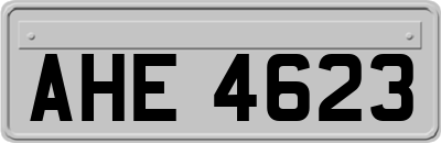 AHE4623
