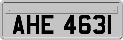 AHE4631
