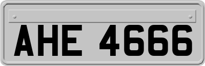 AHE4666