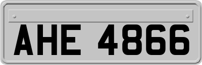 AHE4866