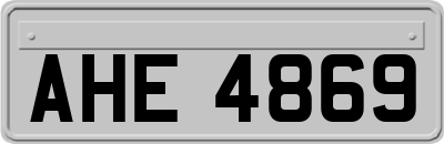 AHE4869