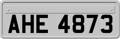 AHE4873
