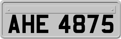 AHE4875