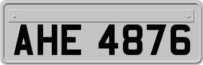 AHE4876