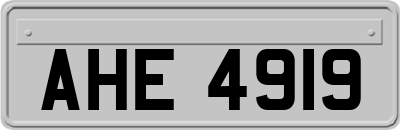 AHE4919