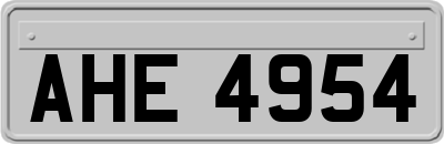 AHE4954
