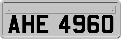 AHE4960