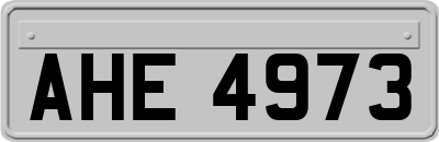 AHE4973