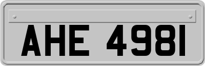 AHE4981