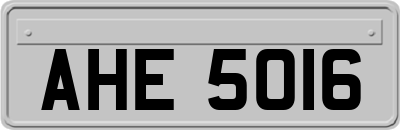 AHE5016