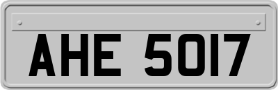 AHE5017