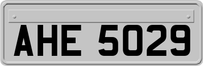 AHE5029