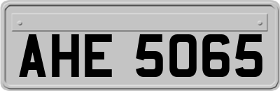 AHE5065