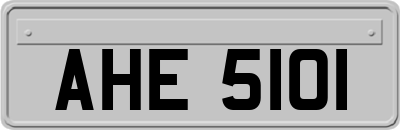 AHE5101