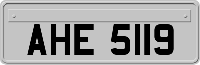 AHE5119