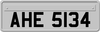 AHE5134
