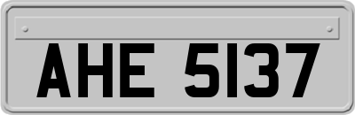 AHE5137