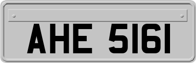 AHE5161