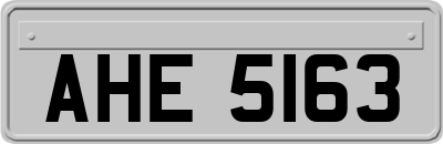 AHE5163