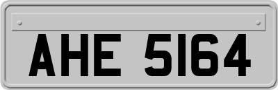 AHE5164