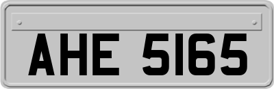 AHE5165