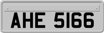 AHE5166