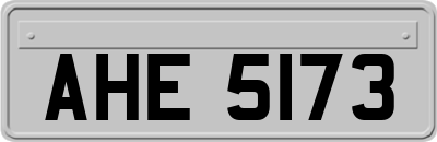 AHE5173