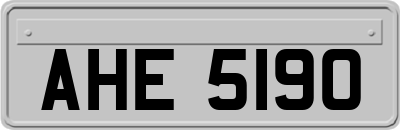 AHE5190