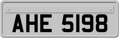 AHE5198