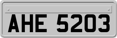 AHE5203