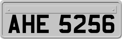 AHE5256