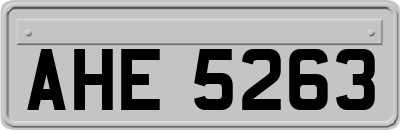 AHE5263